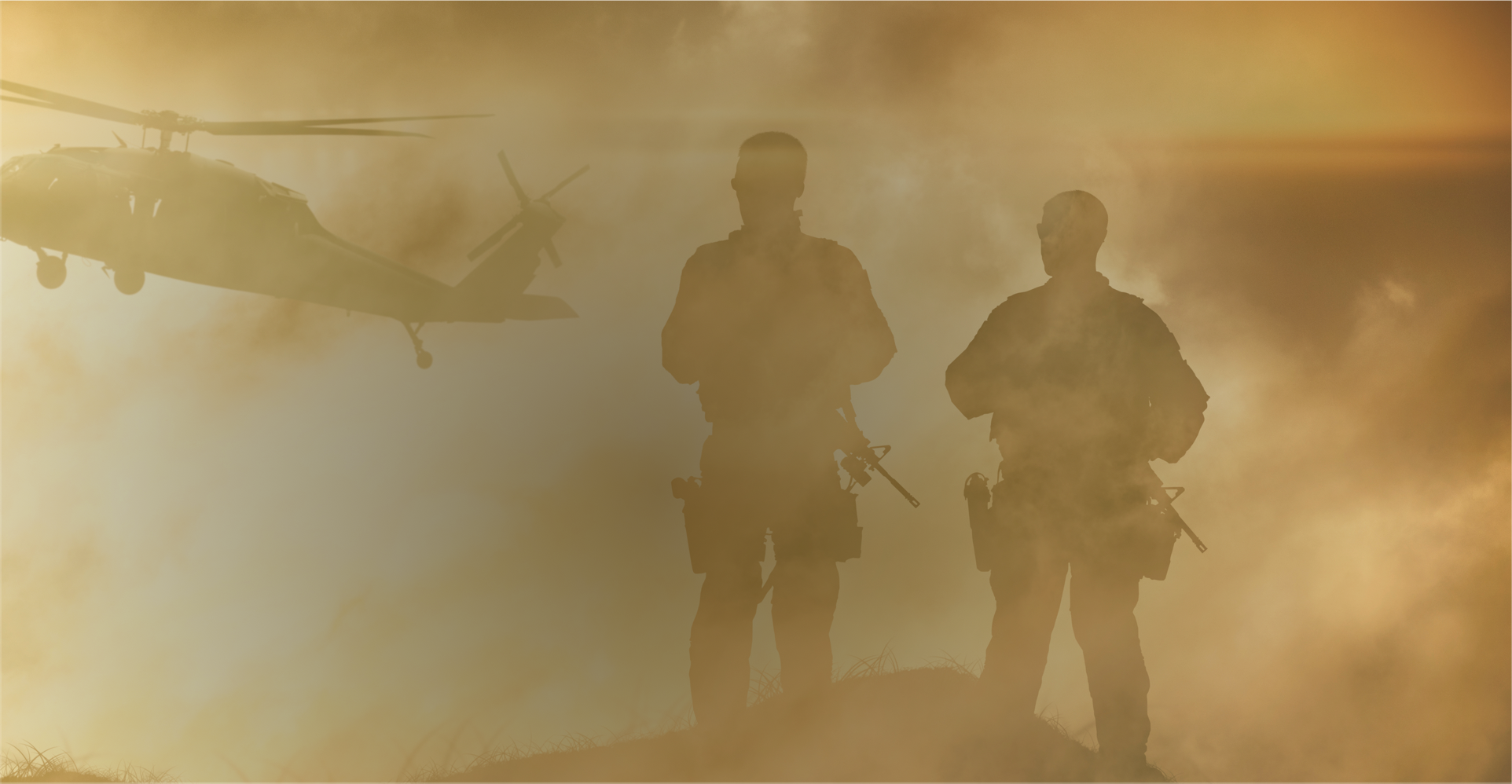 Government and Defense
