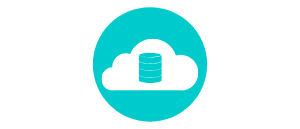 Cloud-Delivered RADIUS Authentication-as-a-Service - Portnox.com Radius Server Icon
