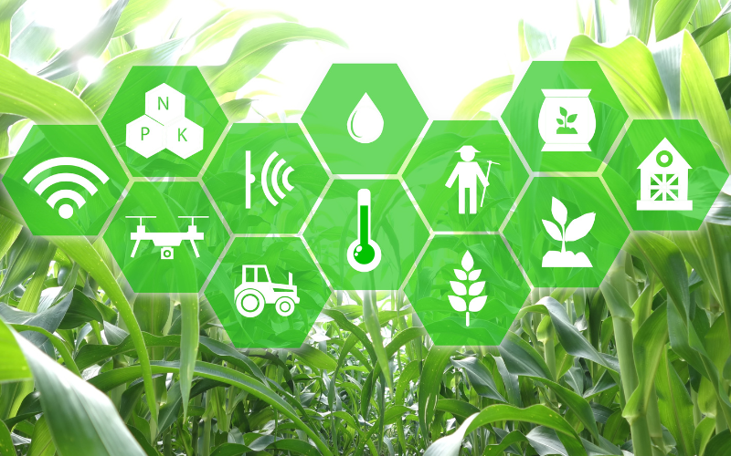 IoT in agriculture