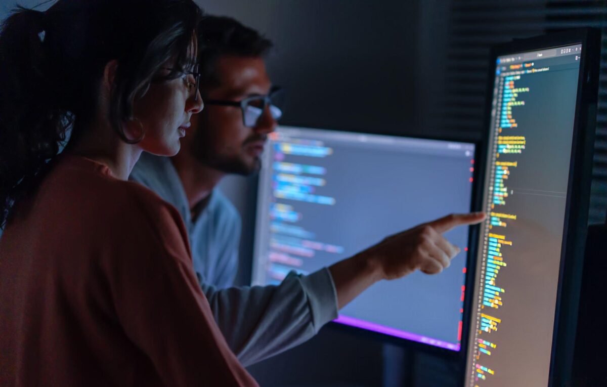 IT professionals