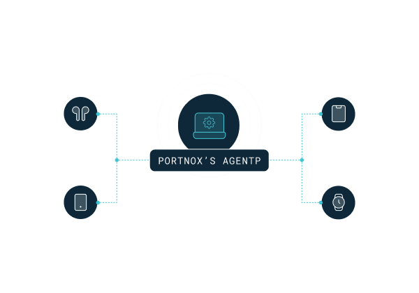 Flowchart showing how Portnox Agent P works